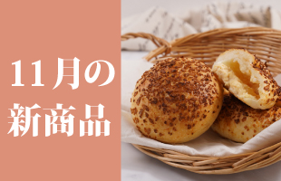 11月新商品